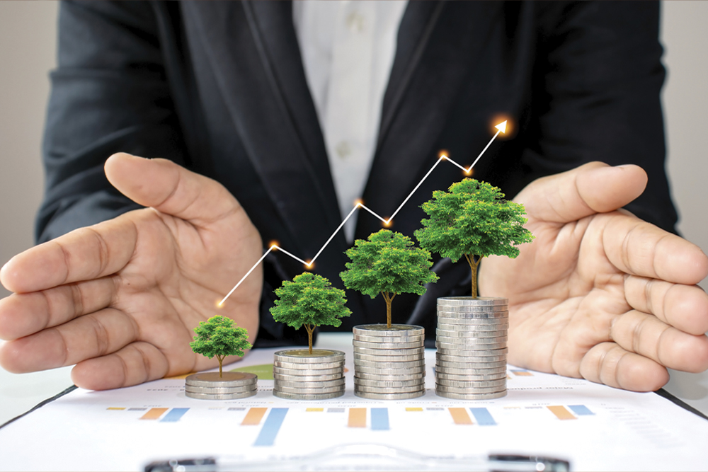 Providing guidance on<br>new territory market penetration strategy and more